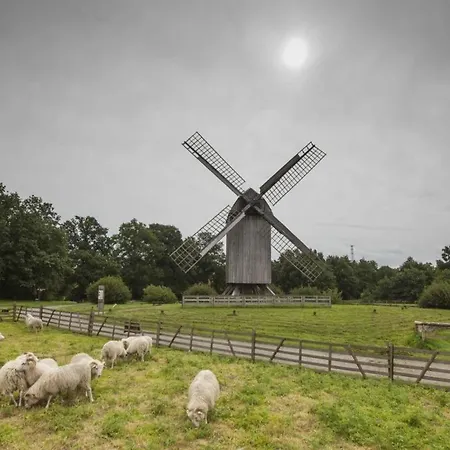 Landal Dwergter Sand Dwergte