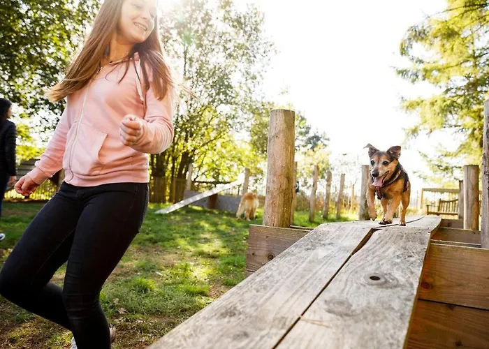 Отель Landal Dwergter Sand *