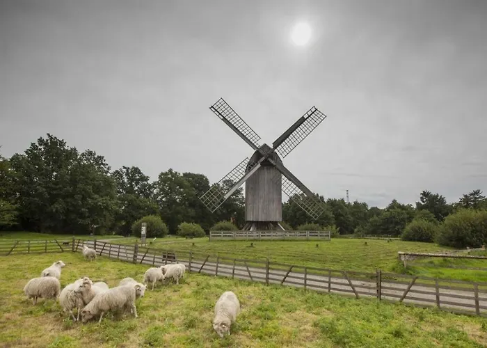 Landal Dwergter Sand Dwergte